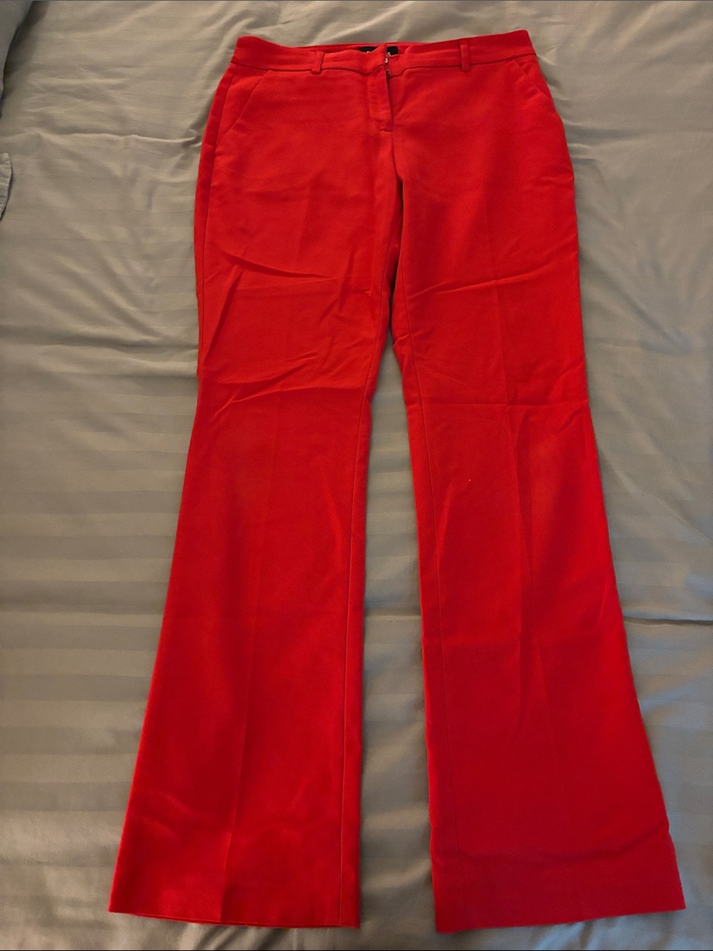 Express Red Boot-Cut Dress Pants